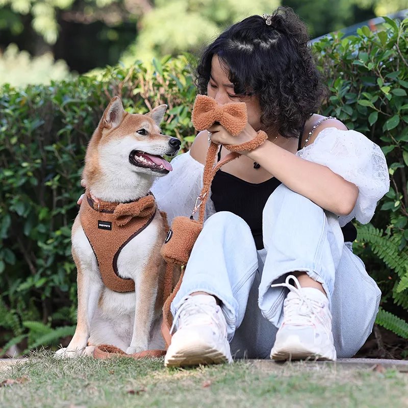 2023 New Pet Industry Supply Luxury Lovely Sherpa Fleece Dog Harness Set Custom Adjustable Dog Vest Matching Dog Collar Leash