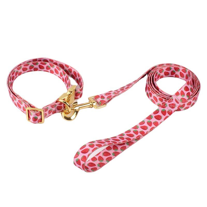 New Personalized Dog Collar with Metal Breakaway Buckle Hardware Custom Printed Fashion Leash Pet Collar and Matching Style