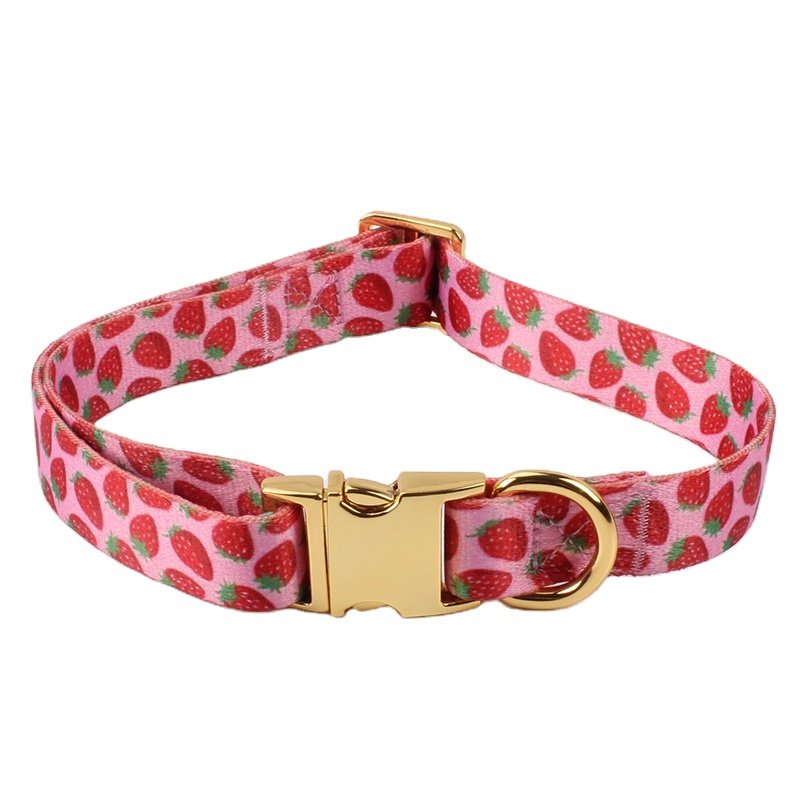 New Personalized Dog Collar with Metal Breakaway Buckle Hardware Custom Printed Fashion Leash Pet Collar and Matching Style