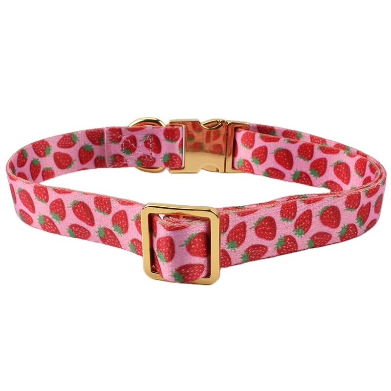 New Personalized Dog Collar with Metal Breakaway Buckle Hardware Custom Printed Fashion Leash Pet Collar and Matching Style