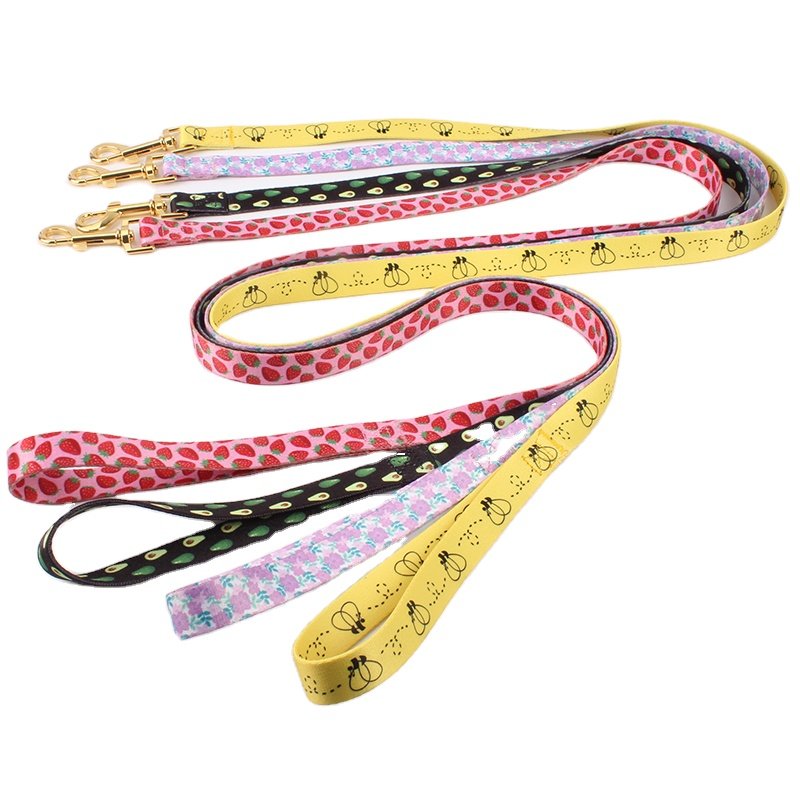 New Personalized Dog Collar with Metal Breakaway Buckle Hardware Custom Printed Fashion Leash Pet Collar and Matching Style