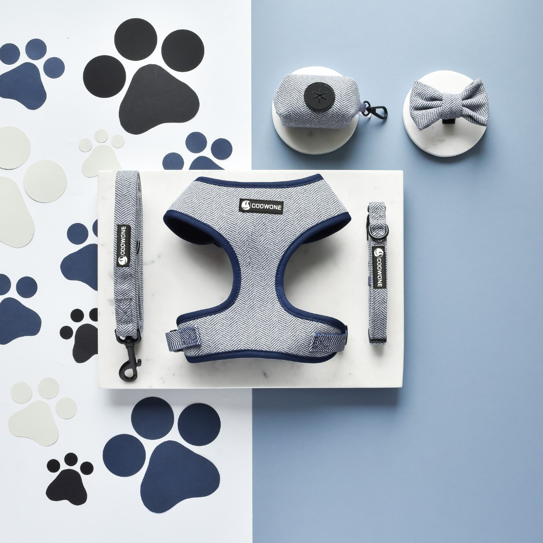 Custom Personalized Twill Tweed Dog Harness Sets Personalized Dog Collars and Matching Leashes Private Label Pet Supplies