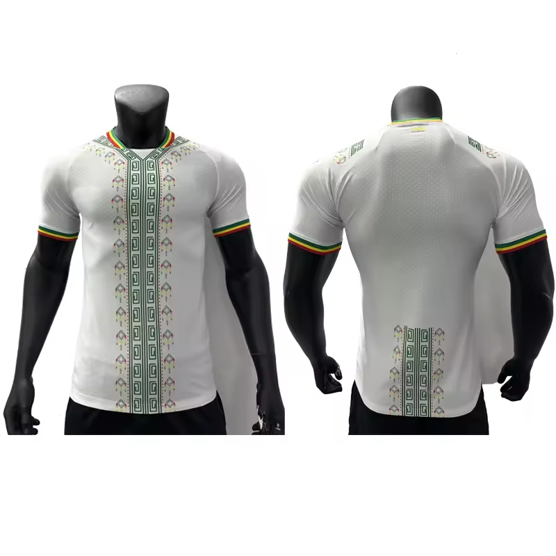 Custom 2024 Africa Match national team soccer jersey Ivory Coast Morocco Nigeria football jersey