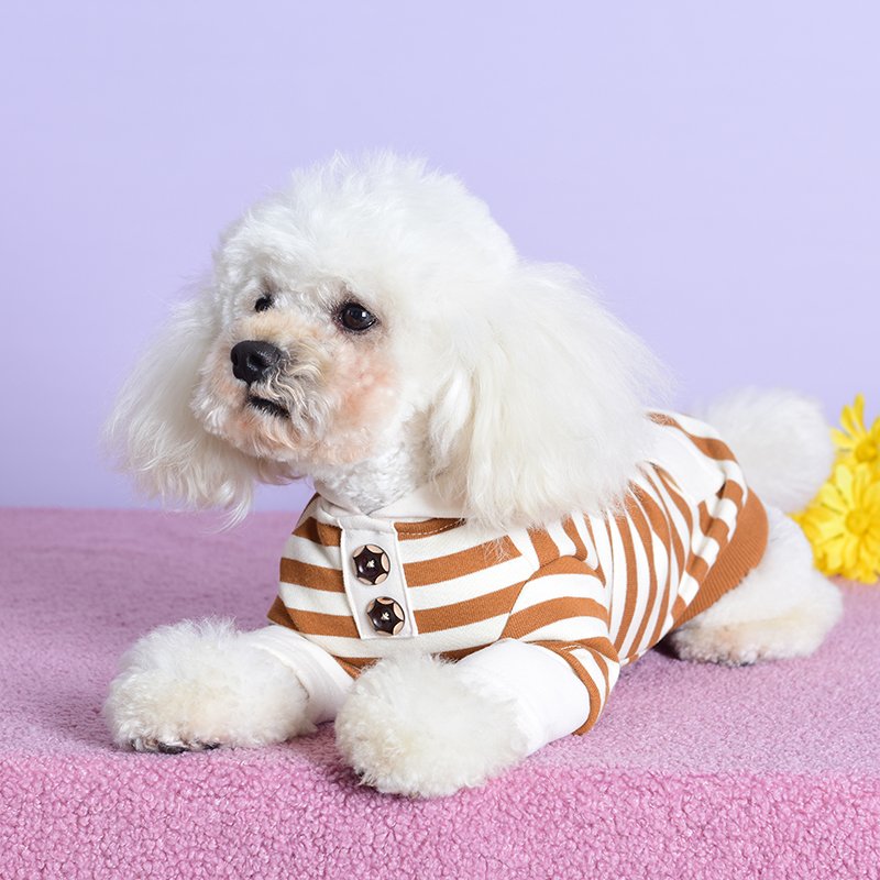 Family Apparel Matching Dog and Human Clothes OEM/ODM Custom High Quality Top Selling Spring Autumn Pet Apparel & Accessories