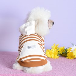 XL