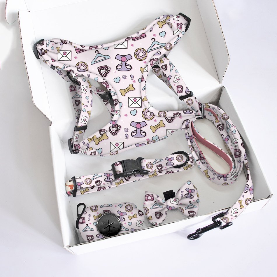 Manufacture Fashion Designers step in Dog Harness Adjustable puppy collar match rubber leash polyester Soft Air Mesh vest