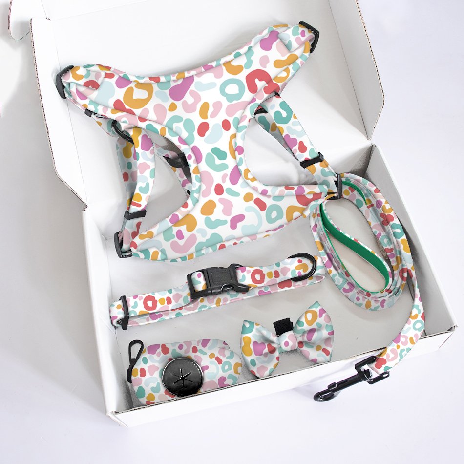 Manufacture Fashion Designers step in Dog Harness Adjustable puppy collar match rubber leash polyester Soft Air Mesh vest