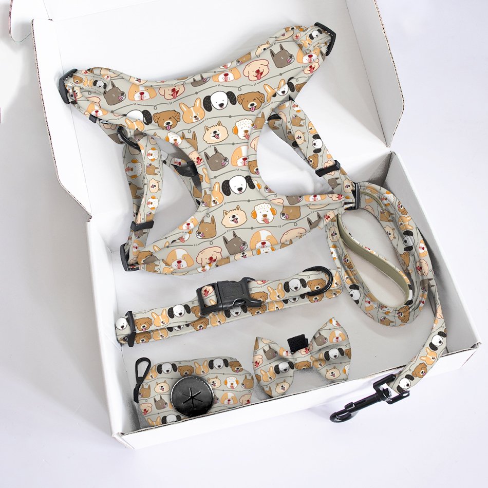 Manufacture Fashion Designers step in Dog Harness Adjustable puppy collar match rubber leash polyester Soft Air Mesh vest