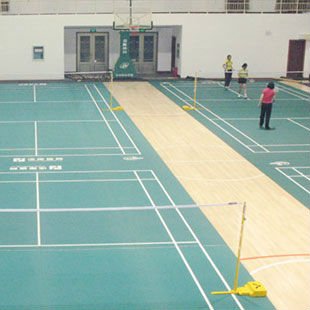 Match Badminton use
