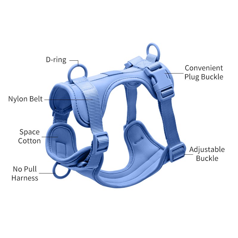 2024 PVC 3m conjunto de arnes y correa completa de perro grandes correas para mascota pet harnesses set