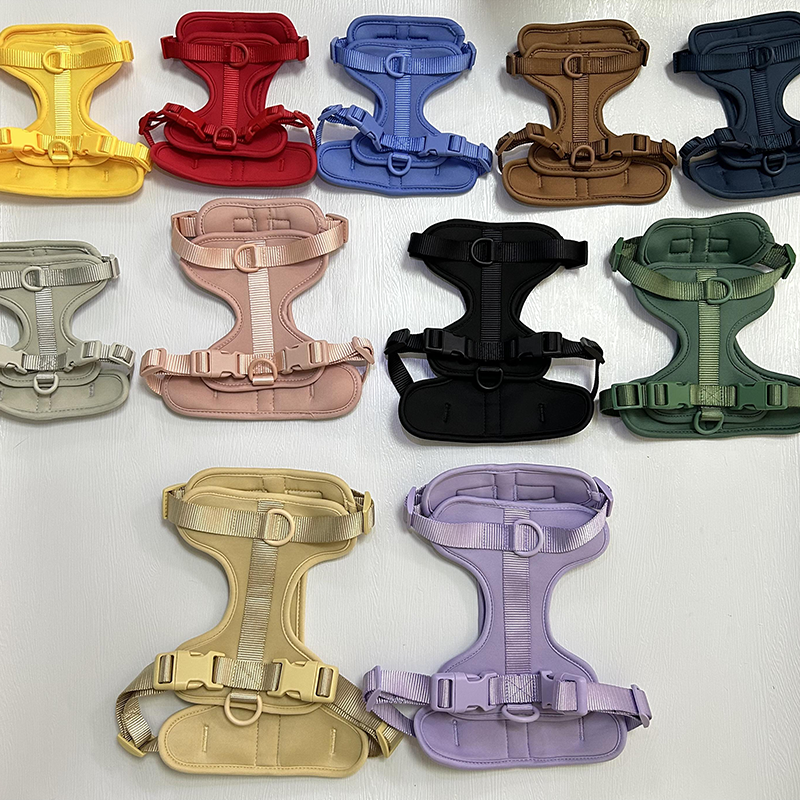 2024 PVC 3m conjunto de arnes y correa completa de perro grandes correas para mascota pet harnesses set