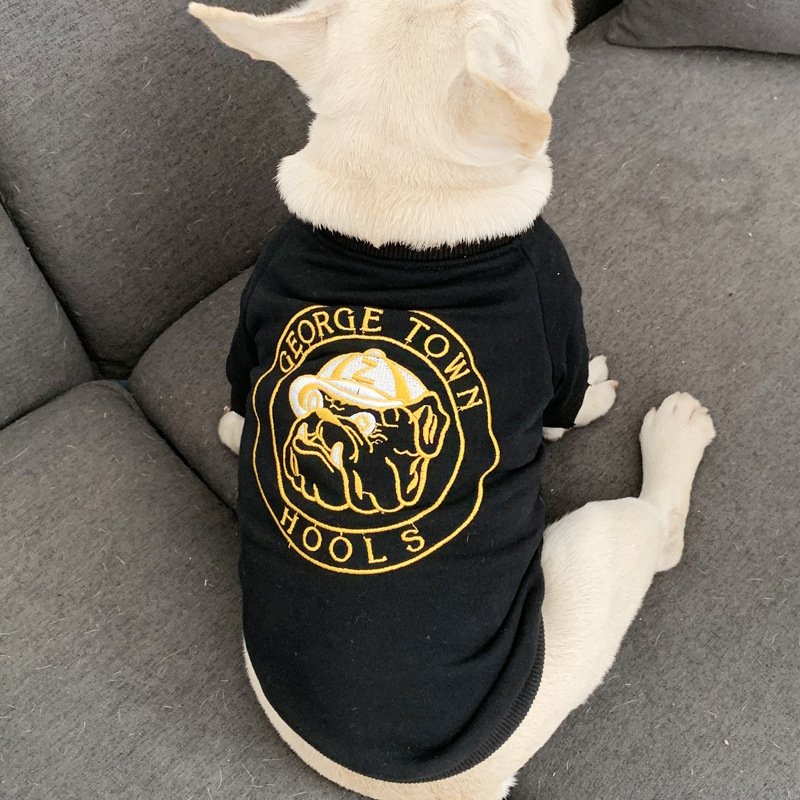 Fashion Pet Matching Outfits Dog Parent-Child Hoodies Pet Parent-Child Hoodies