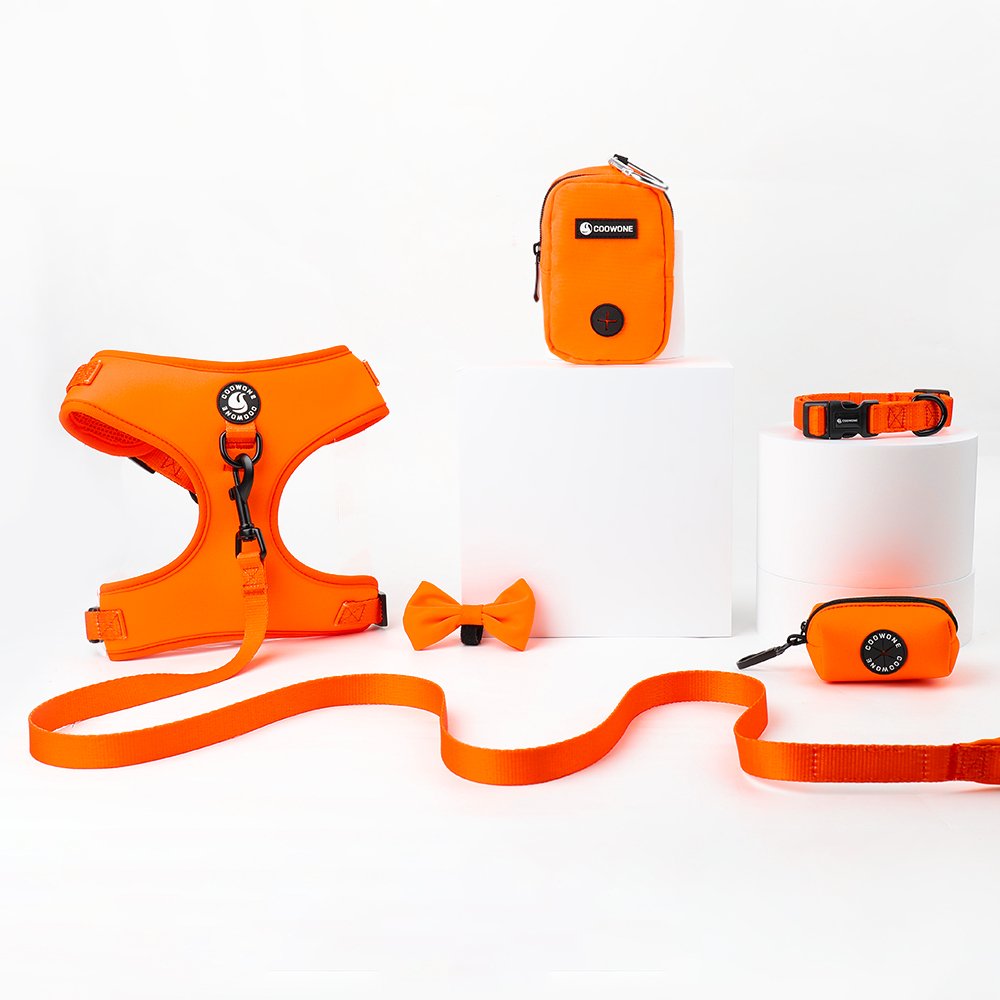 Ready To Ship Polyester Pet Dog Leash And Harness Set With Match Dog Collar Dog Poo Bag Holder