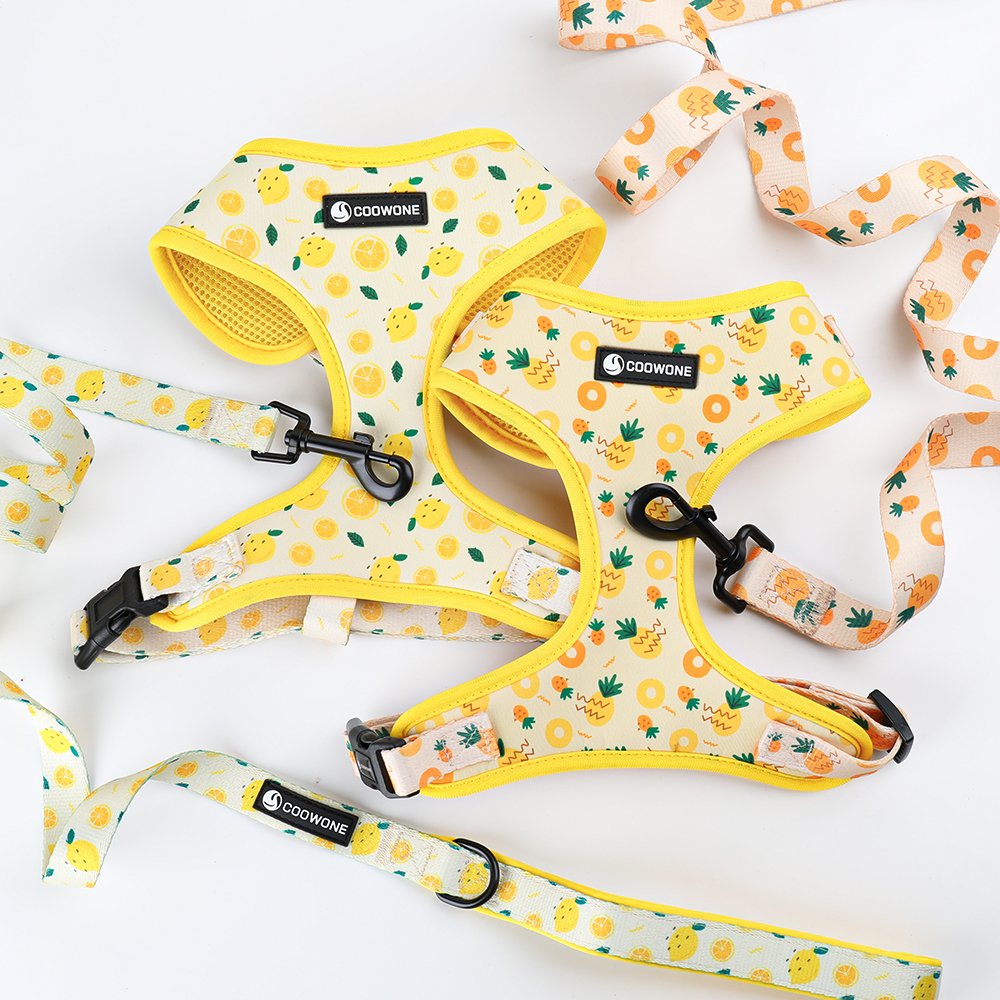 Popular Dog Products Neoprene Dog Harness Set with Matching Dog Collar Leash Bow Tie and Bandana Set