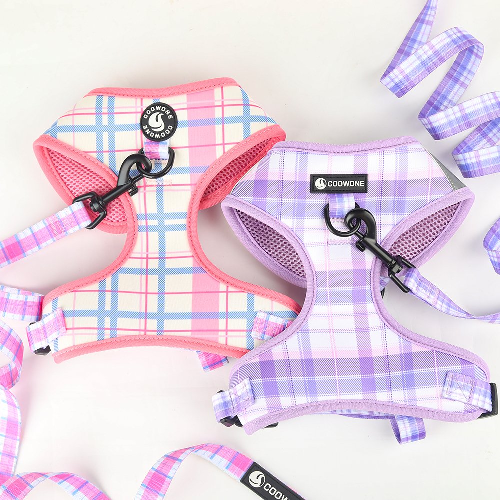 Popular Dog Products Neoprene Dog Harness Set with Matching Dog Collar Leash Bow Tie and Bandana Set