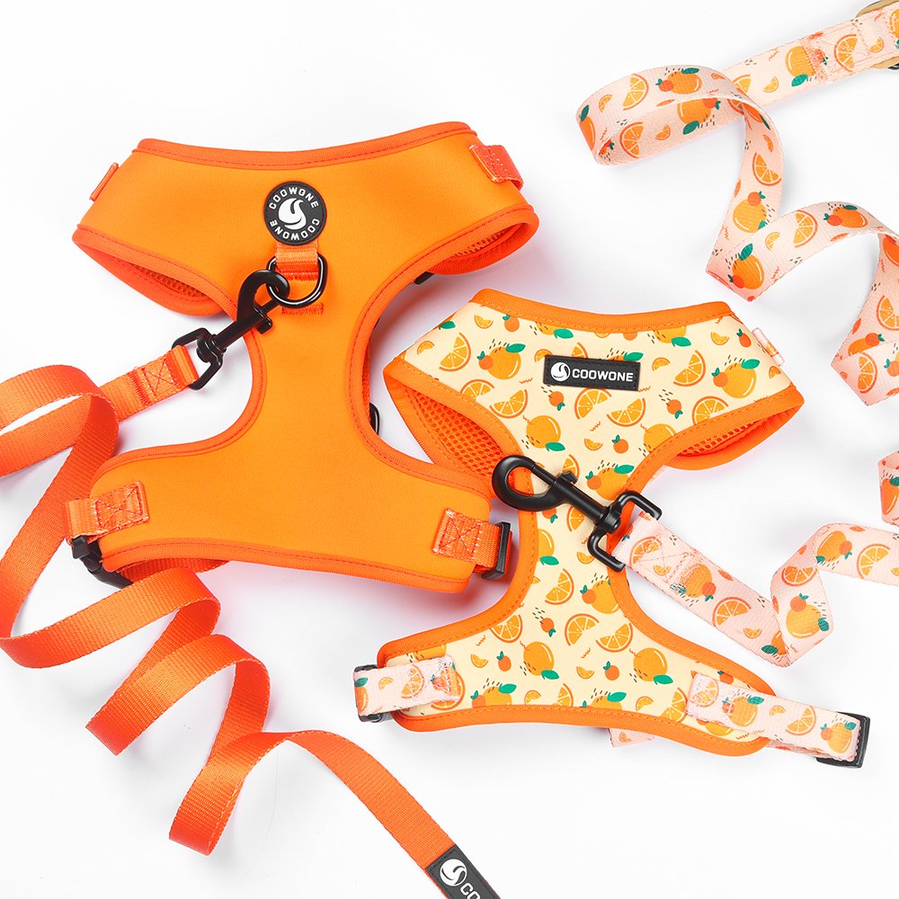 Popular Dog Products Neoprene Dog Harness Set with Matching Dog Collar Leash Bow Tie and Bandana Set