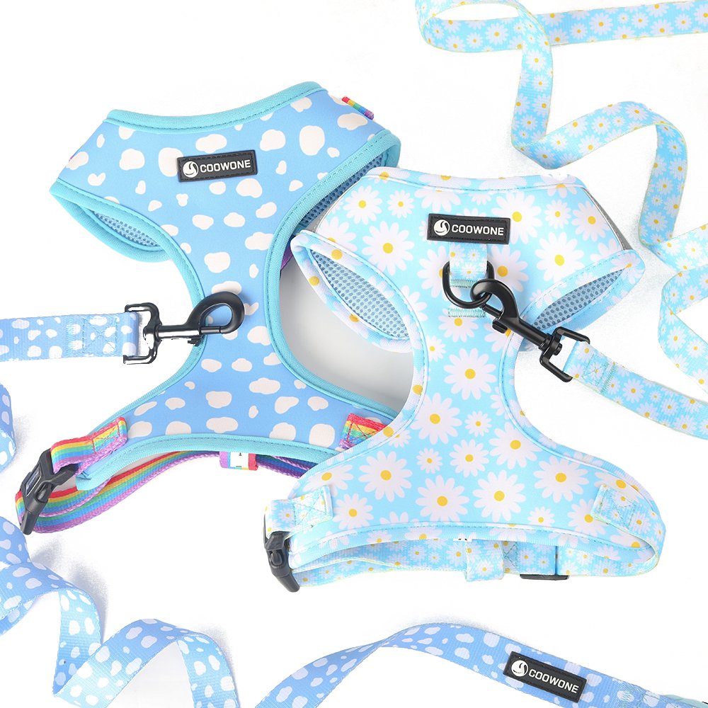Popular Dog Products Neoprene Dog Harness Set with Matching Dog Collar Leash Bow Tie and Bandana Set