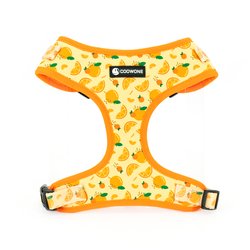 XS