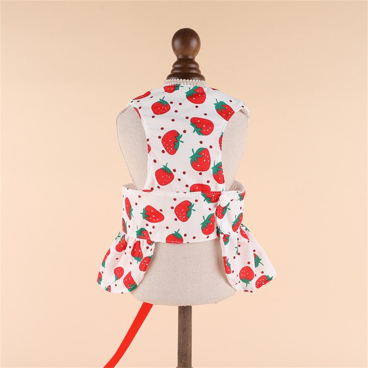Butterfly Bubble Lace dog dress summer luxury pet clothes Small Dog Dress harness with matching leashes
