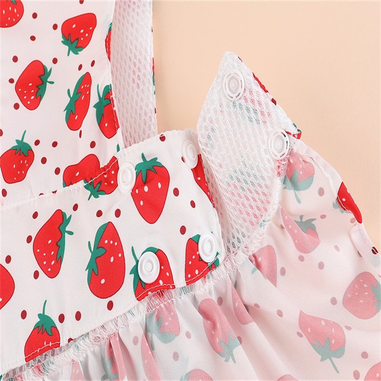 Butterfly Bubble Lace dog dress summer luxury pet clothes Small Dog Dress harness with matching leashes