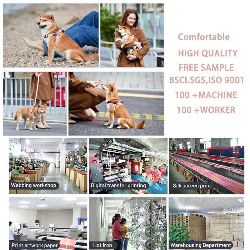Pet manufacturers wholesale printed no pull dog harness set custom luxury training Part Dog Strap Harness Match Collar Leash