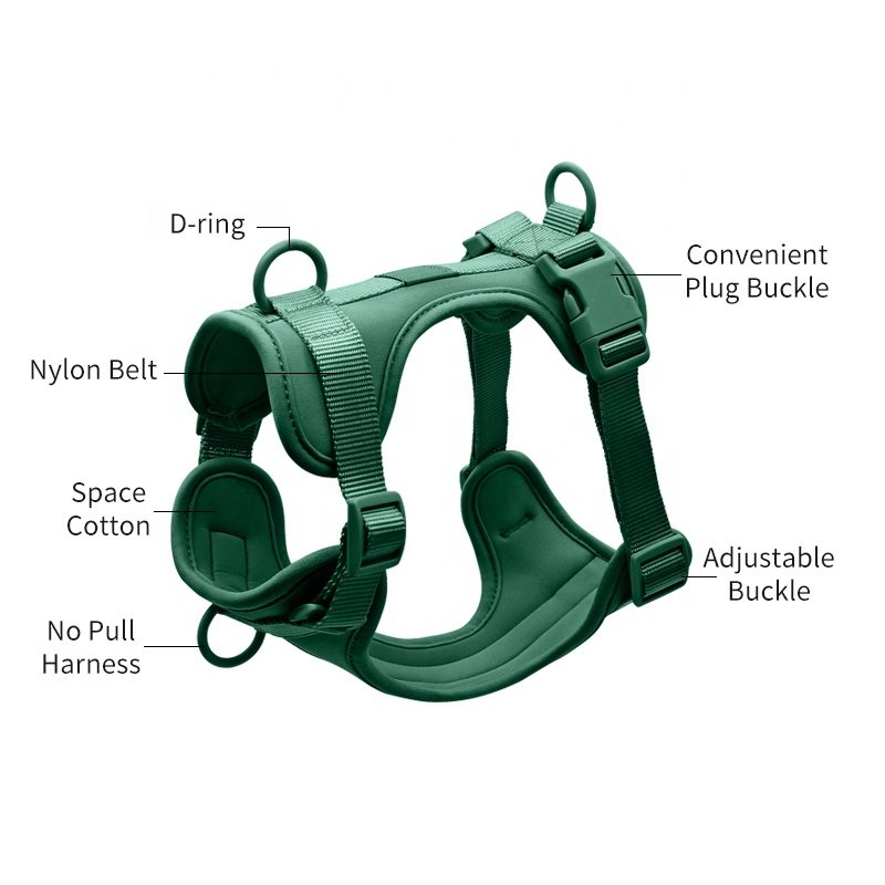 2024 New Hot Sale Luxury Soft Adjustable Neoprene Comfortable No Pull Waterproof PVC Durable Pet Lead Harness Leash Collar Set