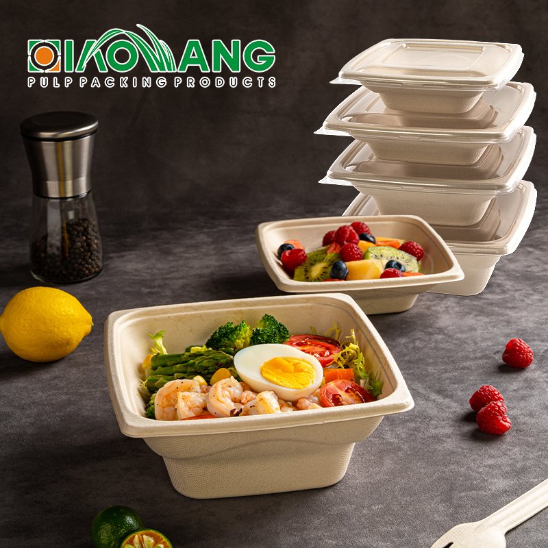 16oz Disposable bowl making machine food bowl takeaway packaging biodegradable bagasse salad bowl matched with plastic lid