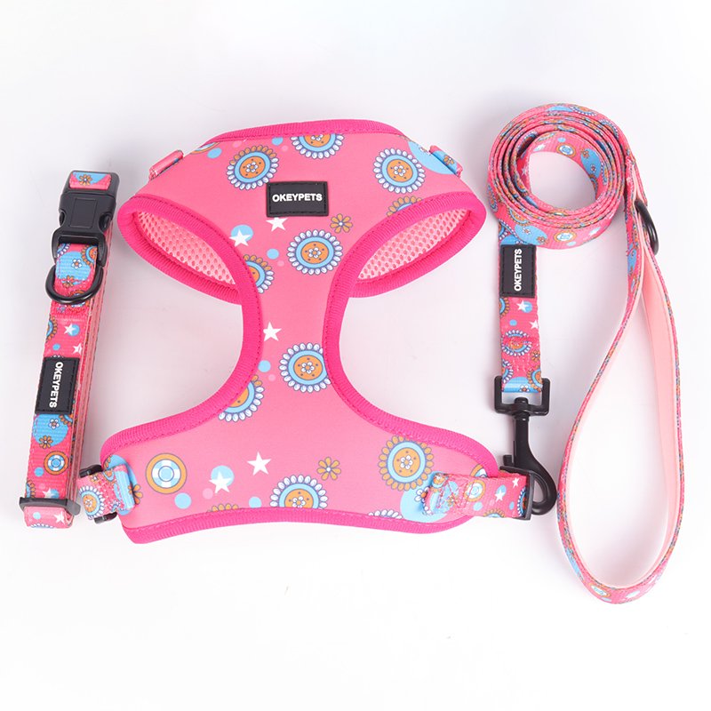 Lovecolour 6 in 1 Personalized Multi-Colored Adjustable Pet Dog Collar Leash Harness Set With Matching Bandana Poop Bag Holder