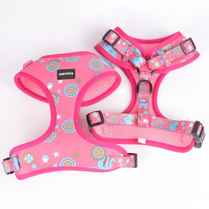 Lovecolour 6 in 1 Personalized Multi-Colored Adjustable Pet Dog Collar Leash Harness Set With Matching Bandana Poop Bag Holder