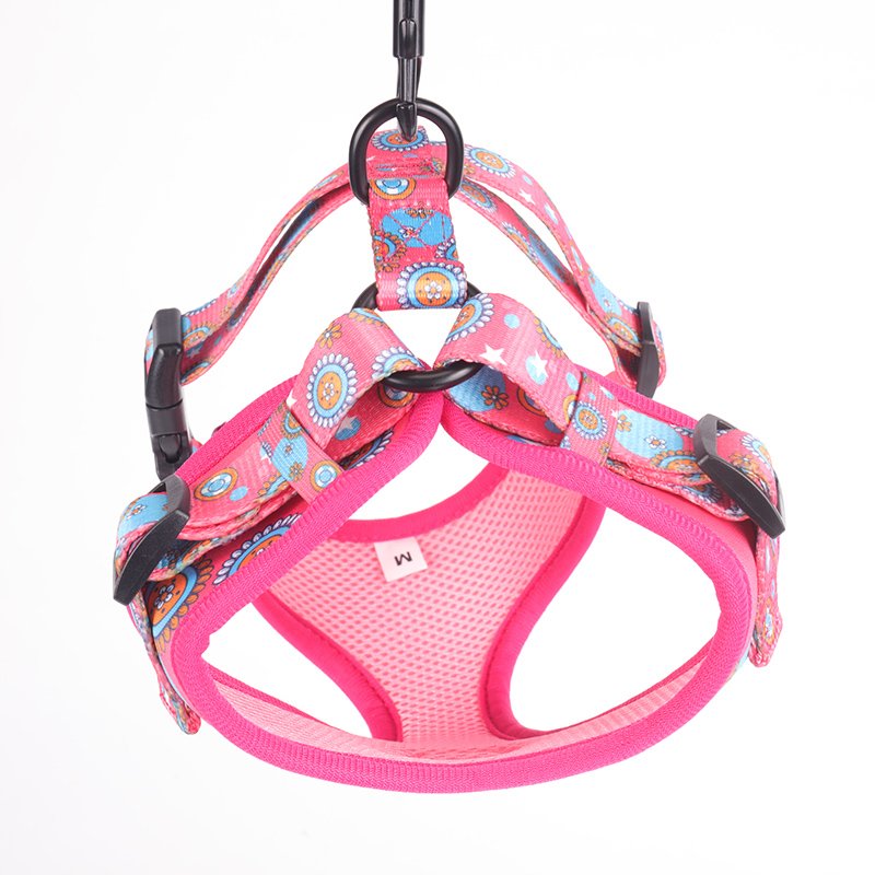 Lovecolour 6 in 1 Personalized Multi-Colored Adjustable Pet Dog Collar Leash Harness Set With Matching Bandana Poop Bag Holder