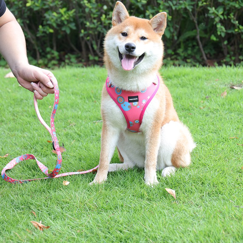 Lovecolour 6 in 1 Personalized Multi-Colored Adjustable Pet Dog Collar Leash Harness Set With Matching Bandana Poop Bag Holder