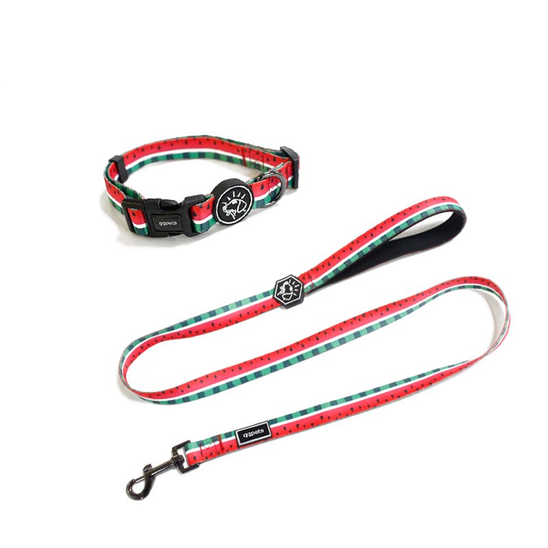 High quality free designer padded dog collar matching leash set luxury correas para perro custom printing dog collar and leash