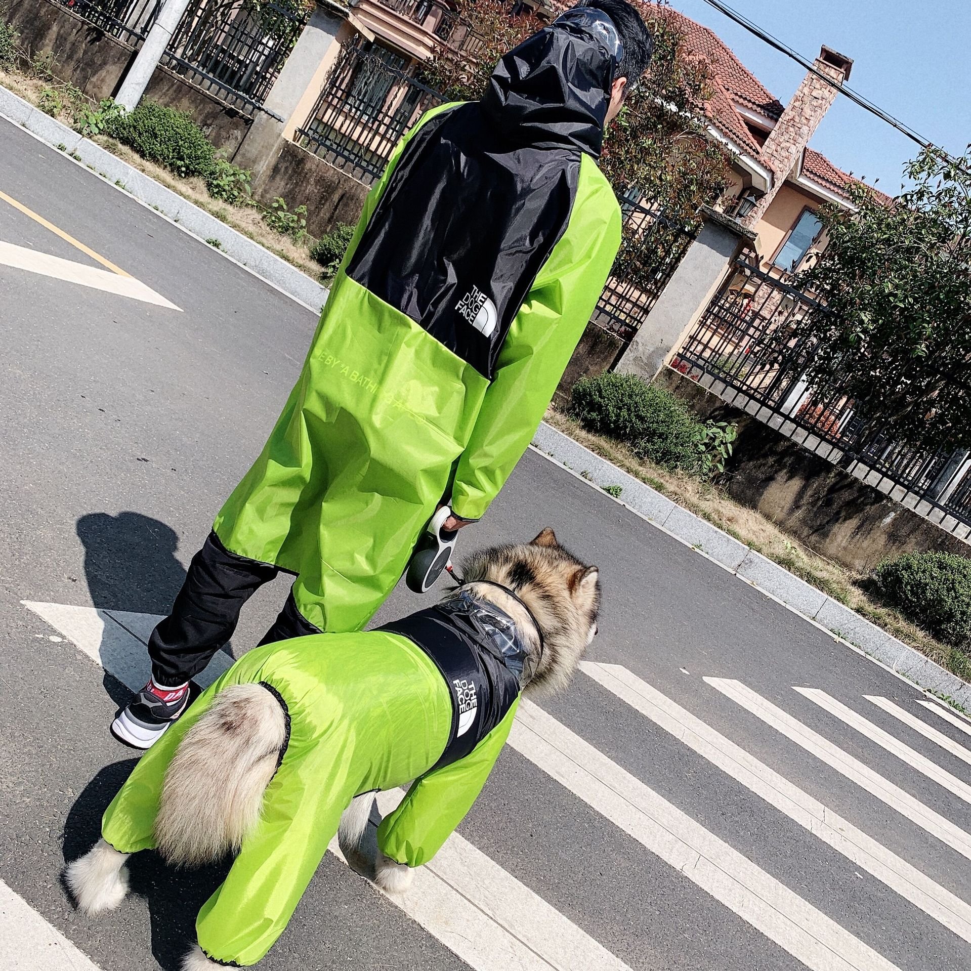 Pet and Owner Matching Raincoat Pattern Pet Couple Outfit Attire Small Medium Large Dogs Water Resistant Clothes Print Travel