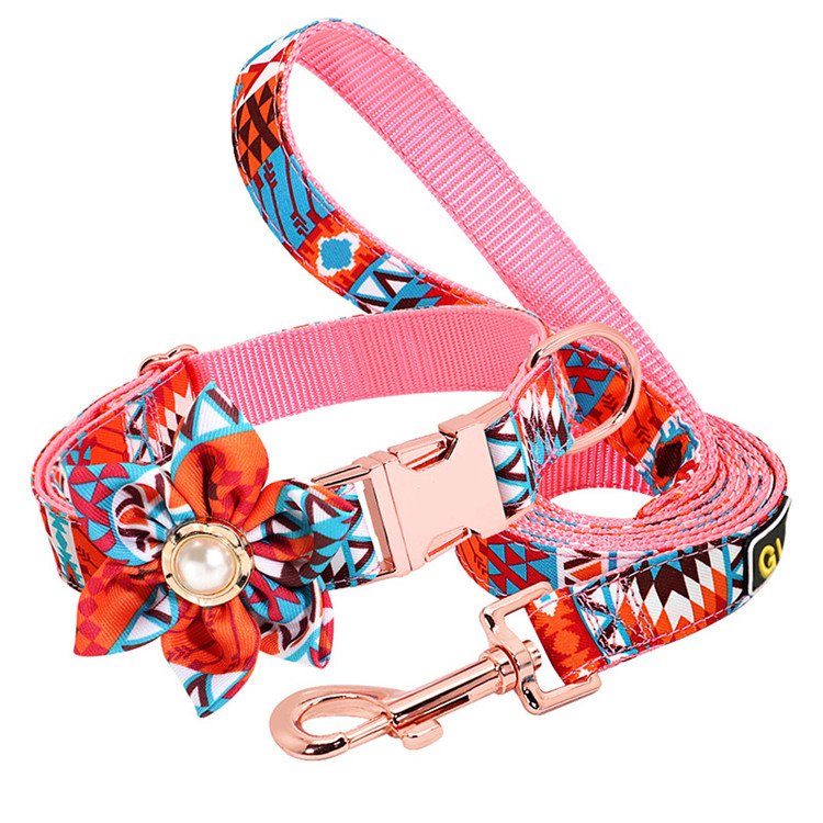 Luxury Custom OEM Dog Collar with Name Plate personalized design dog collars and matching leash sets