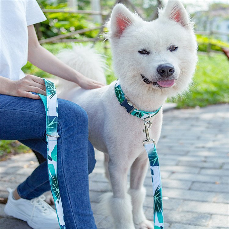 Luxury Custom OEM Dog Collar with Name Plate personalized design dog collars and matching leash sets