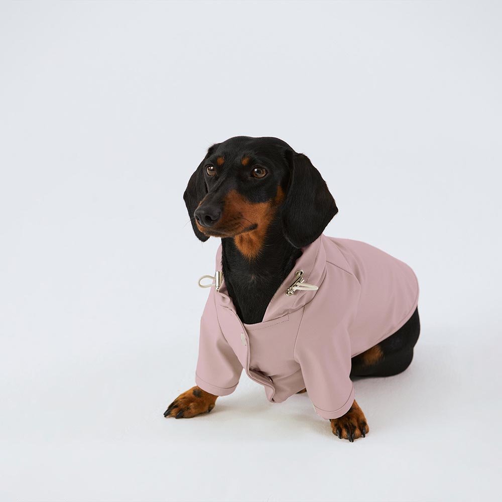 Qiqu Pet Supplies Custom New Designer Luxury Dog Clothes waterproof Raincoat For Pet And Owner Matching Set Dog apparel Clothing