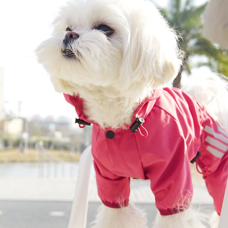 High Quality Outdoor Pet Reflective Raincoat All-inclusive Breathable Casual Color Matching Dog Clothes
