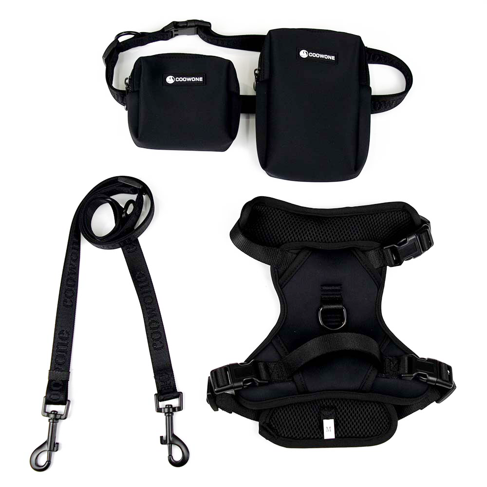 Step in Dog Harness Reflective Soft Padded Mesh Adjustable Pet Dog Harness And Leash Set With Matching Leash Collar