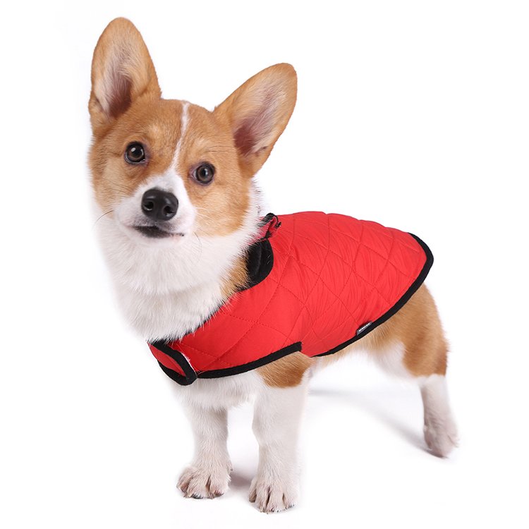 Clearance Sale Pet Apparel Outfit Coats Accessories Matching Dog and Owner Luxury Clothes Designers Dog Clothes