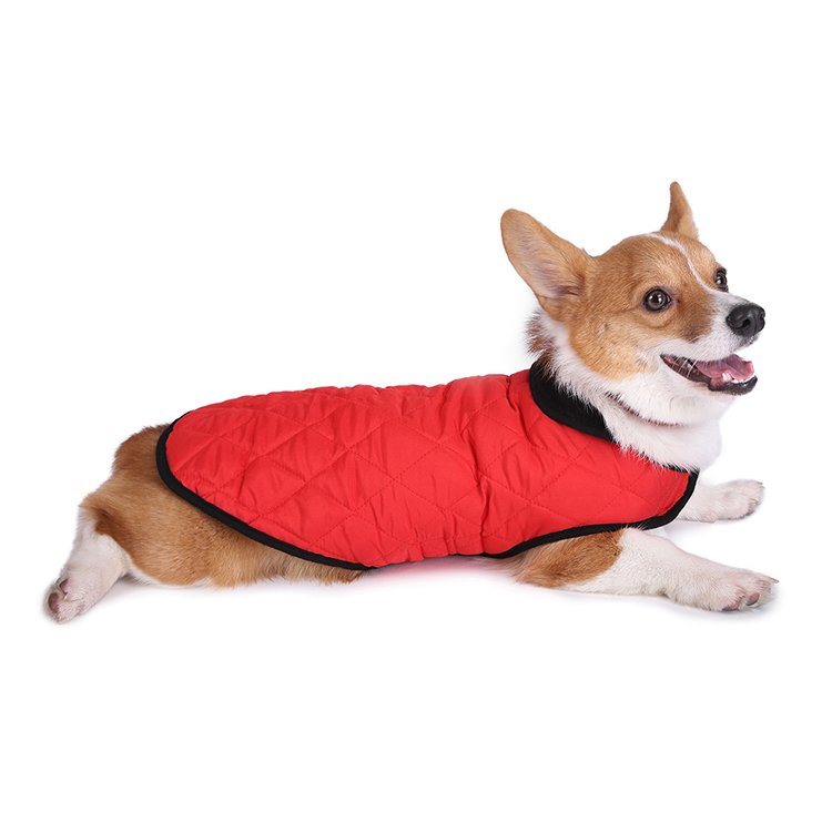 Clearance Sale Pet Apparel Outfit Coats Accessories Matching Dog and Owner Luxury Clothes Designers Dog Clothes