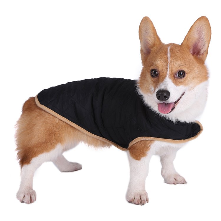 Clearance Sale Pet Apparel Outfit Coats Accessories Matching Dog and Owner Luxury Clothes Designers Dog Clothes