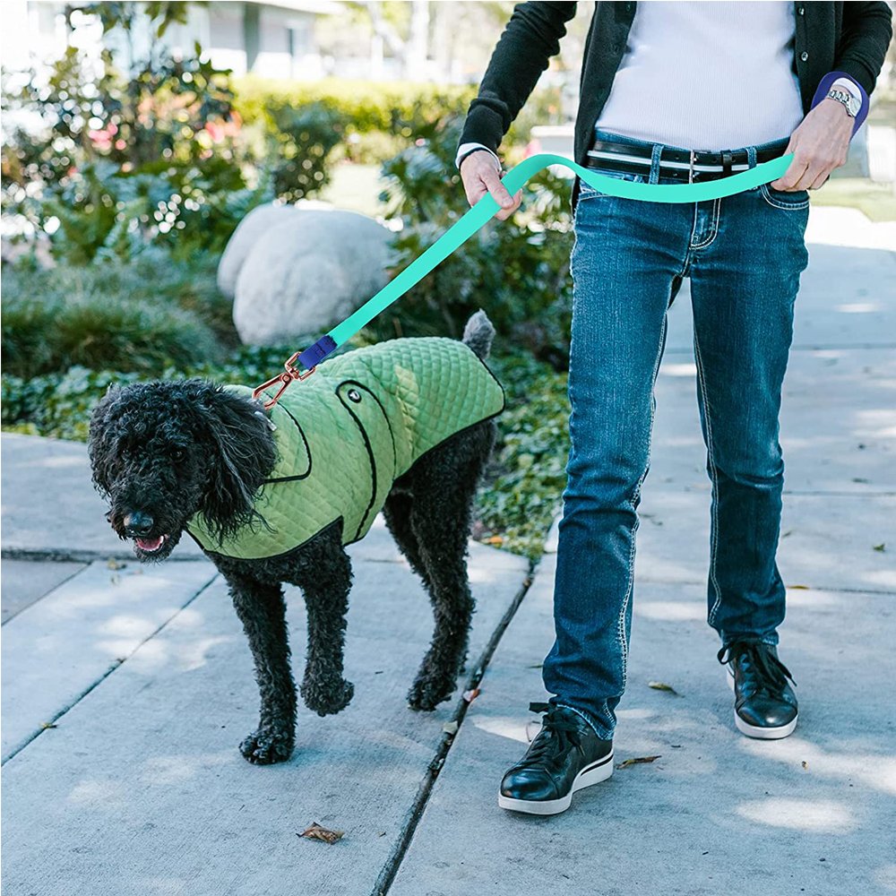 Mix and Match Pink Black Blue Orange Green Durable Flexible PVC Pet Dog Leash with Rose Alloy Hook