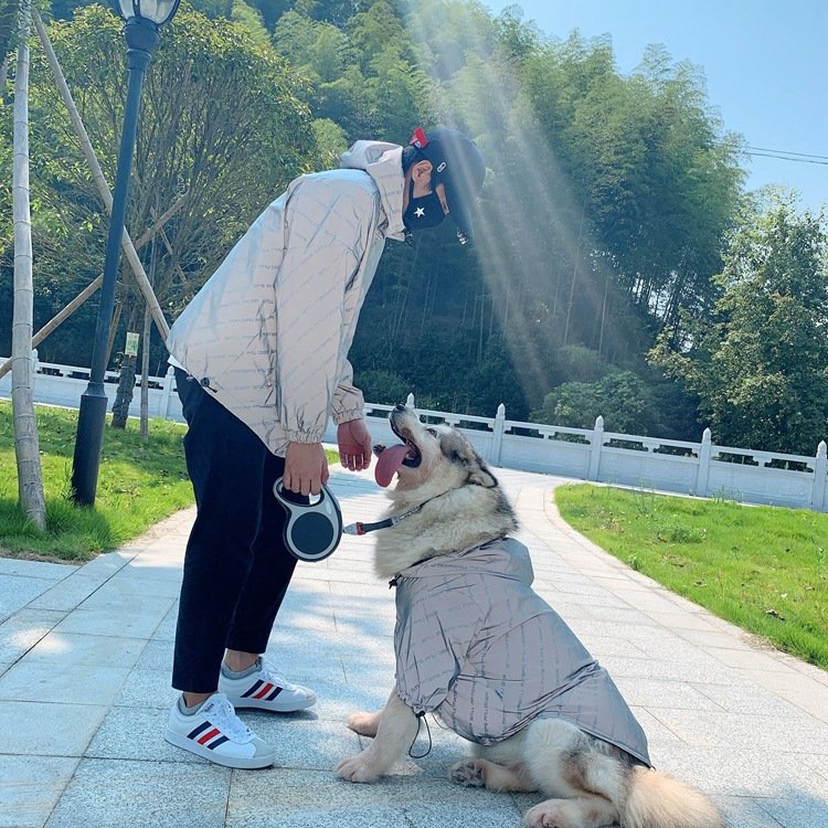 Wholesale reflective night light pet and human owner matching rain coat