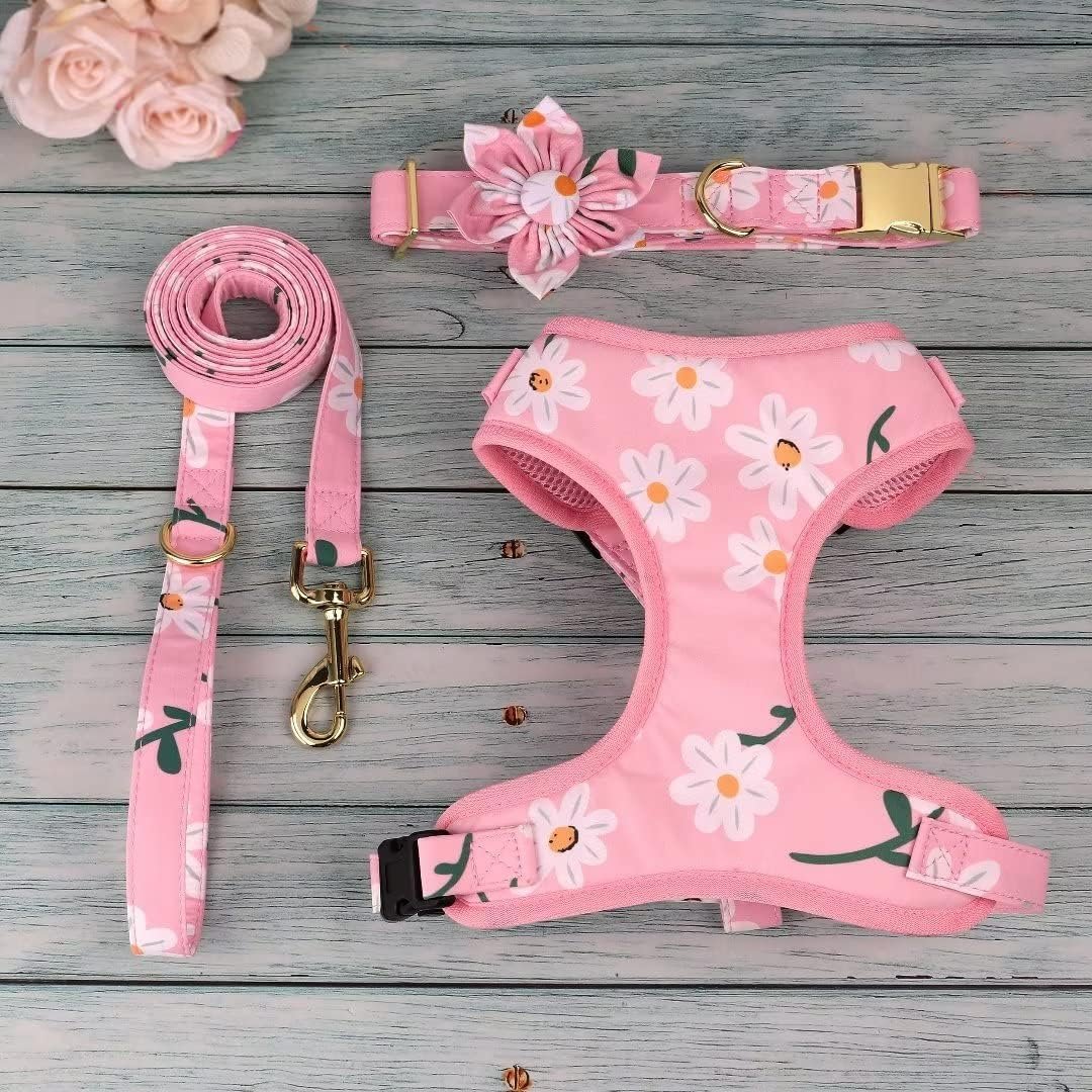 Custom Pet Dog Harness With Match Dog Collar And Leash Set