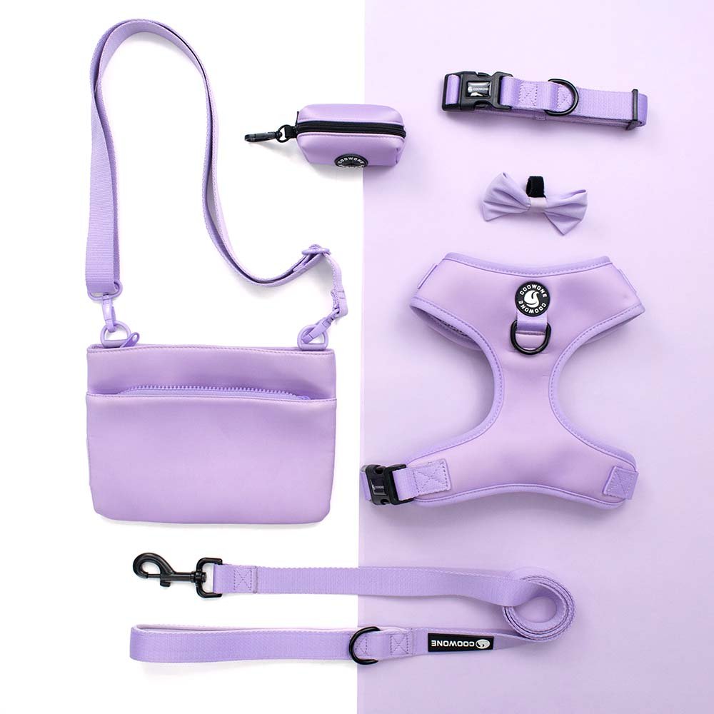 Custom Dog Harness Set Luxury Pet Harness Dog Leash Harness Dog Collar Matching Poop Bag Dispenser