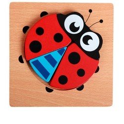 Coccinella