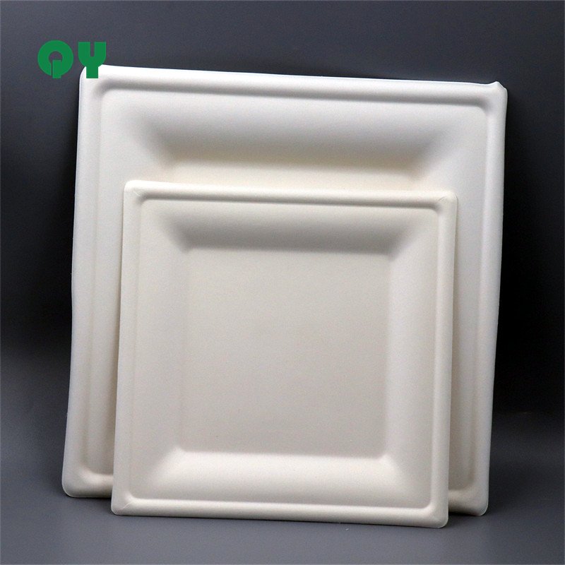 Takeaway Paper Mache Plate & Bowl Food Container Box Microwave Ovenable Office Custom Bulk Party Paper Plates