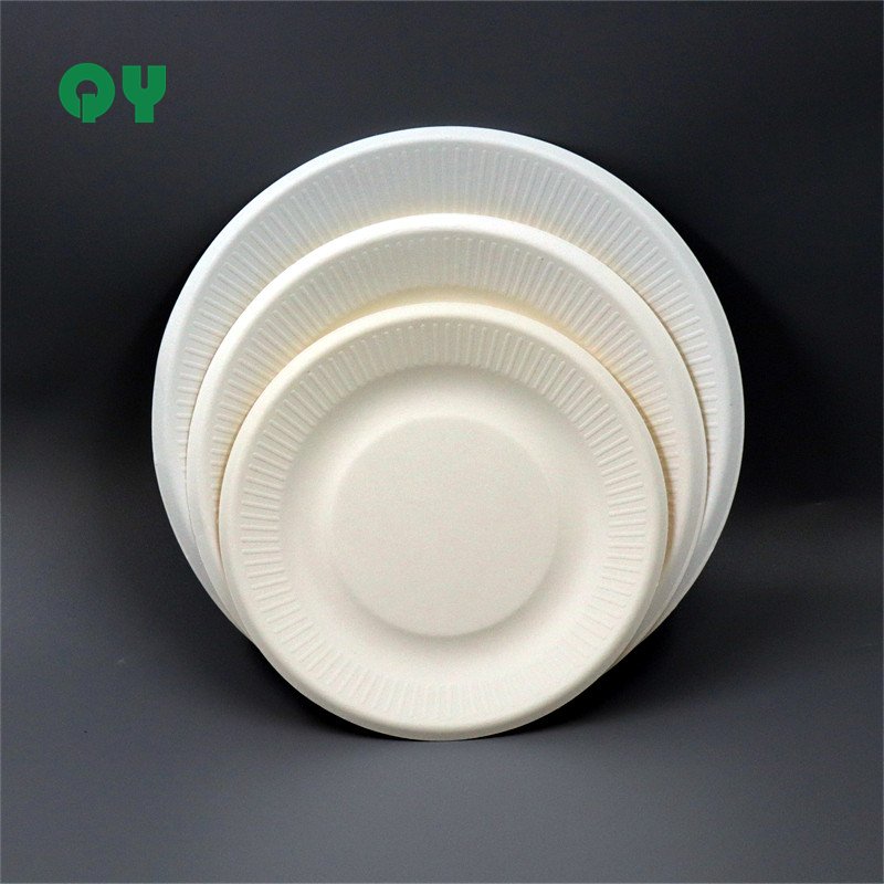 Takeaway Paper Mache Plate & Bowl Food Container Box Microwave Ovenable Office Custom Bulk Party Paper Plates