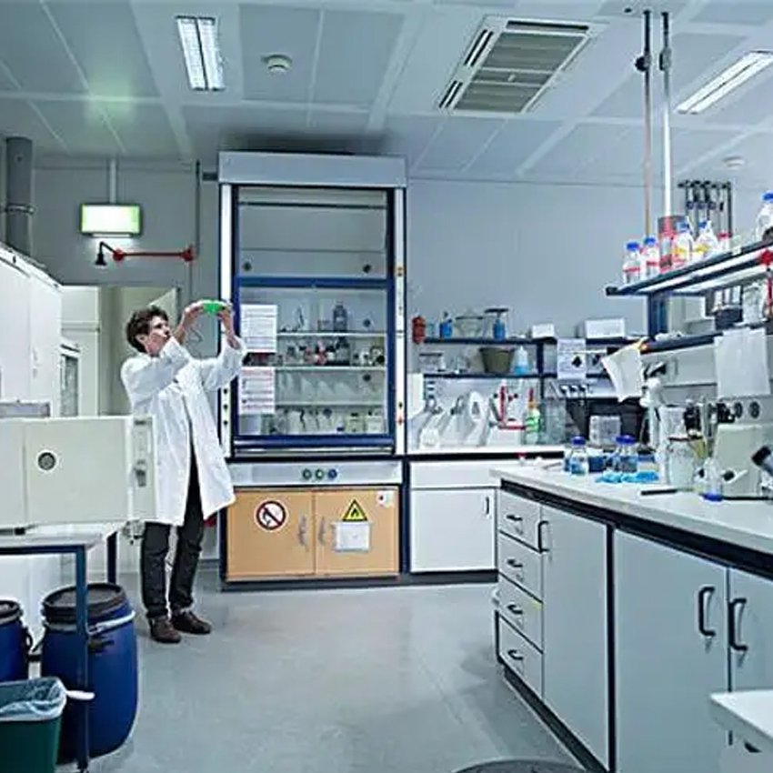 High Purity Succinimide CAS 123-56-8 For Synthetic Drugs Plant Growth Stimulants