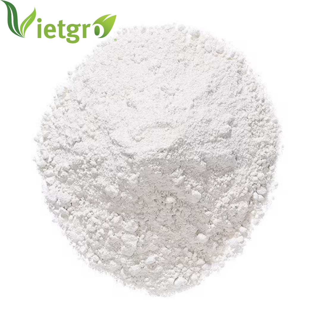 VGF High Quality Hydrated Lime Calcium Hydroxide Slaked Lime - Vietnamese Supplier - White powder